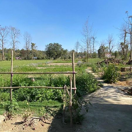 Nanu'S Bardiya Homestay Экстерьер фото